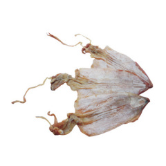 Dried Squid