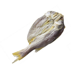 Dried Yellow Croaker