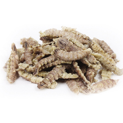 Creep Clam Meat