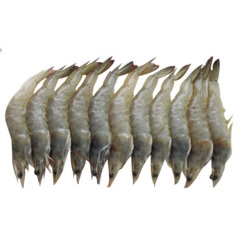 Vannamei white shrimp