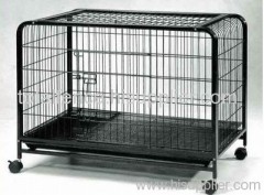 dog cage