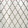 Beautiful Grid Wire Mesh