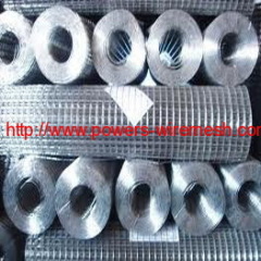 Best price Galvanized Welded Wire Mesh Rolls