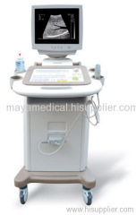 convex ultrasound scanner