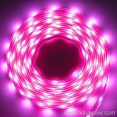 led strips