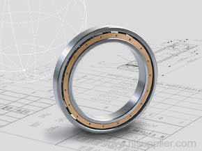 Deep Groove Ball Bearing