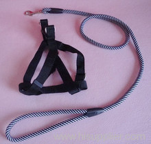 pet dog collar chain