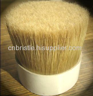 bleached bristles