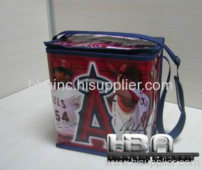 Cooler Bag