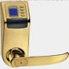ZKS-L1G professional Fingerprint Door Lock
