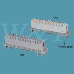 10 Pairs Disconnection & Connection Module