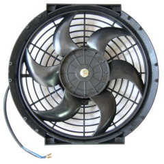 Quotation Fan