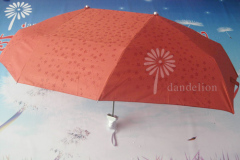 Umbrella