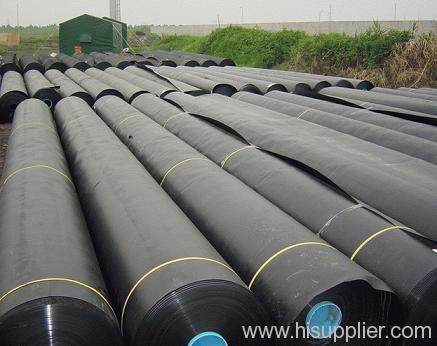 HDPE Geomembrane