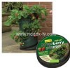 Pop Up Strawberry Planter