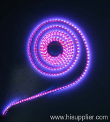 Led Strip