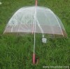 Apollo Umbrella