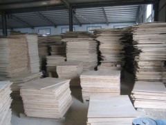 Linyi City Huali Plywood Factory