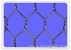 hexagonal wire netting