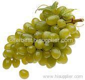 White Grape Juice Concentrate