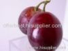 Red Grape Juice Concentrate