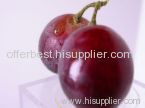 Red Grape Juice Concentrate