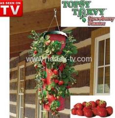 Topsy Turvy Strawberry Planter