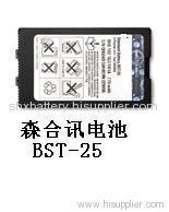 Mobile Phone Battery