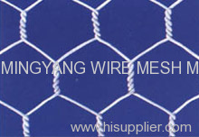 hexagonal wire mesh