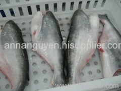 pangasius