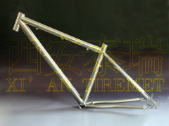 Titanium Ti MTB Frame