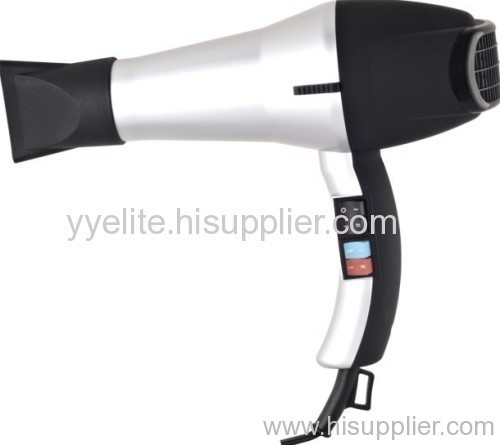 Professional Hair Dryer