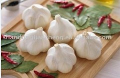 Shandong Liancheng Garlic Industry Co., Ltd