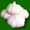 Shandong Liancheng Garlic Industry Co., Ltd