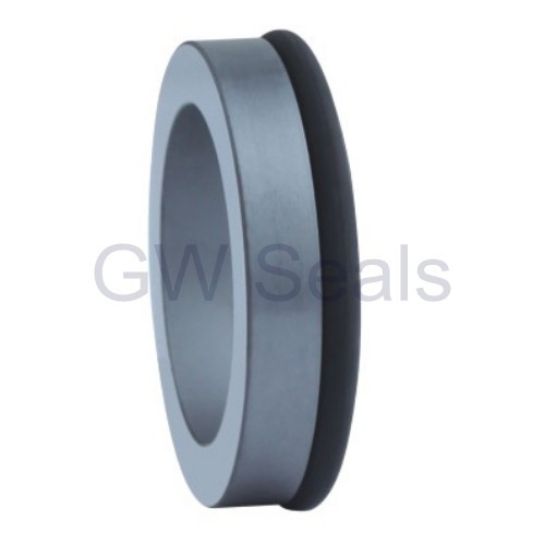 stationary seat seal rings