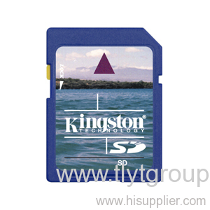 Kingston 2GB SD Cards