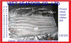 WHOLE ROUND FROZEN RIBBON FISH