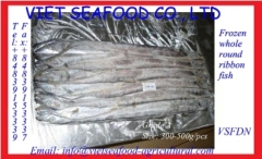 WHOLE ROUND FROZEN RIBBON FISH