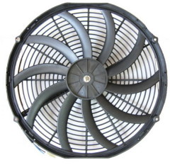 Quotation Fan