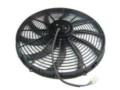 Quotation Fan