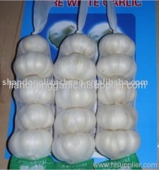 Chinese normal white garlic