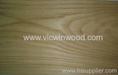 0.6mm Elm Veneer