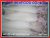 Block Frozen Whole Cleaned Loligo Squid