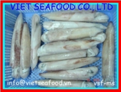 Block Frozen Whole Cleaned Loligo Squid