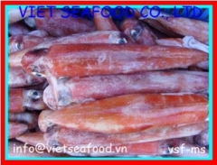 Block Frozen Whole Cleaned Loligo Squid