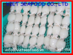 Frozen IQF Whole Cleaned Cuttlefish