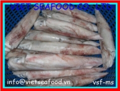 Block Frozen Whole Cleaned Loligo Squid