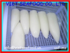 Block Frozen Whole Cleaned Loligo Squid