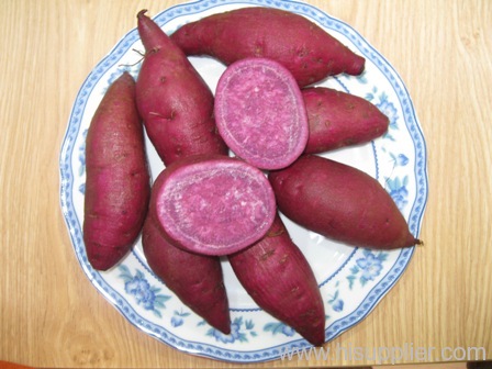 Violet sweet potato