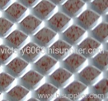 Expanded Metal Mesh